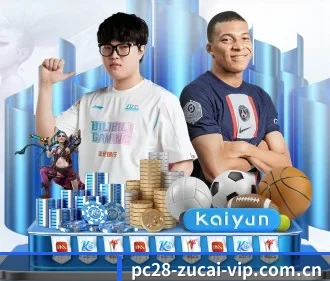加拿大28 APP